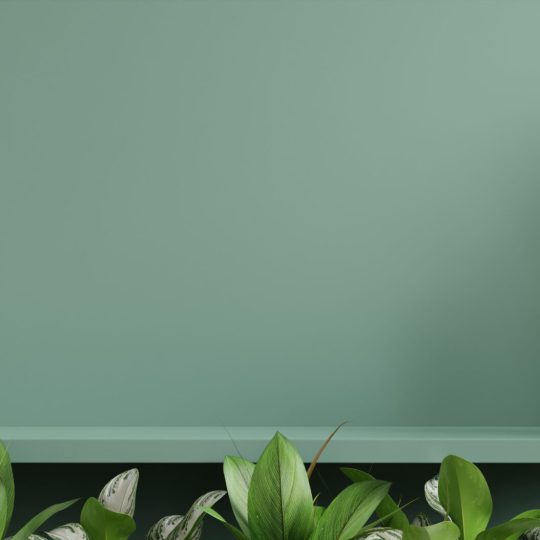 Interior wall mockup with green plant,Green wall and shelf.3D rendering